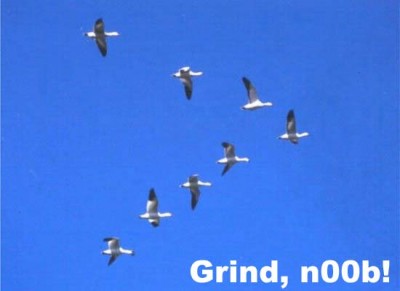 grindn00b.jpg