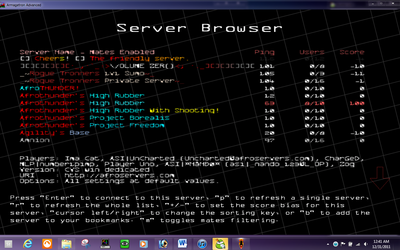 Screenshot of the server list with the duplicate Afro HR selected.