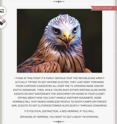 animalstalkinginallcaps.tumblr.com
