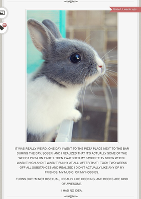 http://animalstalkinginallcaps.tumblr.com