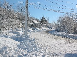 This is my street yesterday