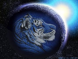 Tiger_1024x768[1].jpg