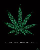 straattermen marihuana.jpg