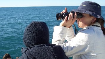 whalewatchers.jpg