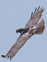 080507_010.jpg